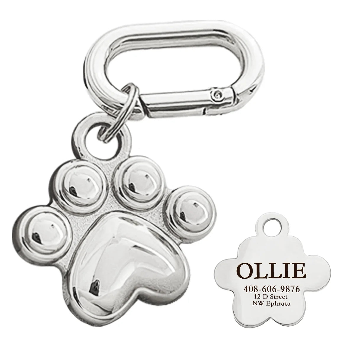 Personalized Pet ID Name Tag – Custom Engraved Anti-Lost Collar Tag for Dogs & Cats