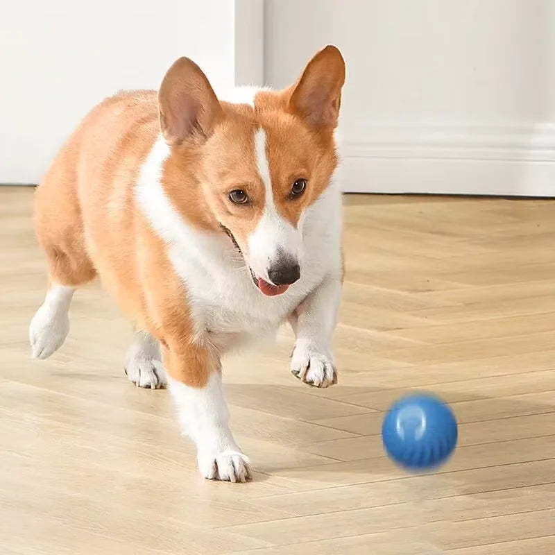 Interactive Rechargeable Gravity Jump Ball for Cats & Dogs - Bite-Resistant Auto-Rolling Chase Toy, 2.05 in (5.2 cm)