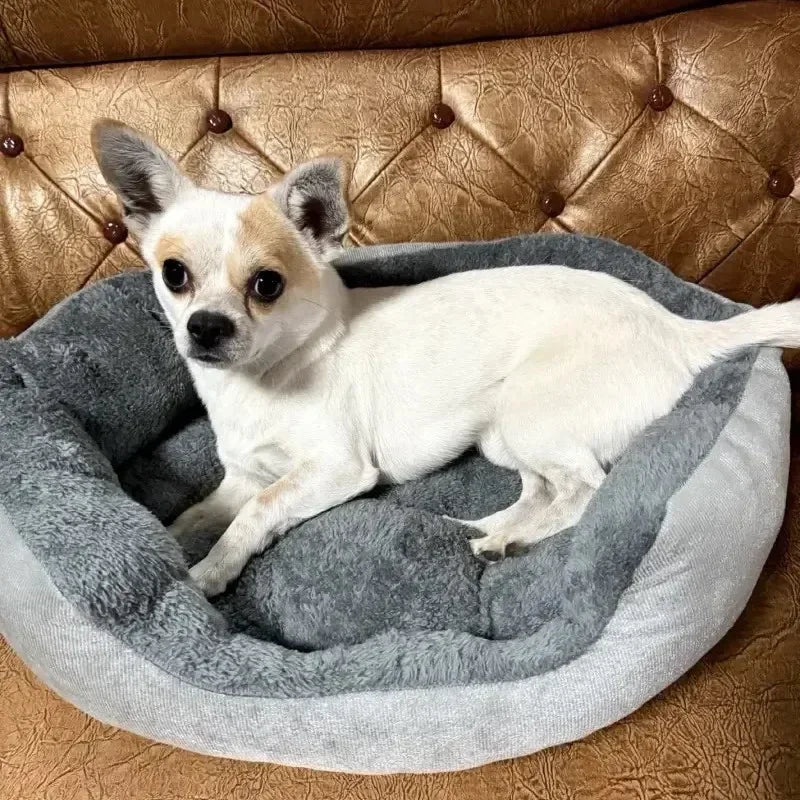Very Soft Warm Cotton Dog Bed Sofa for Medium and Large Dogs, Cozy Pet House, Machine Washable