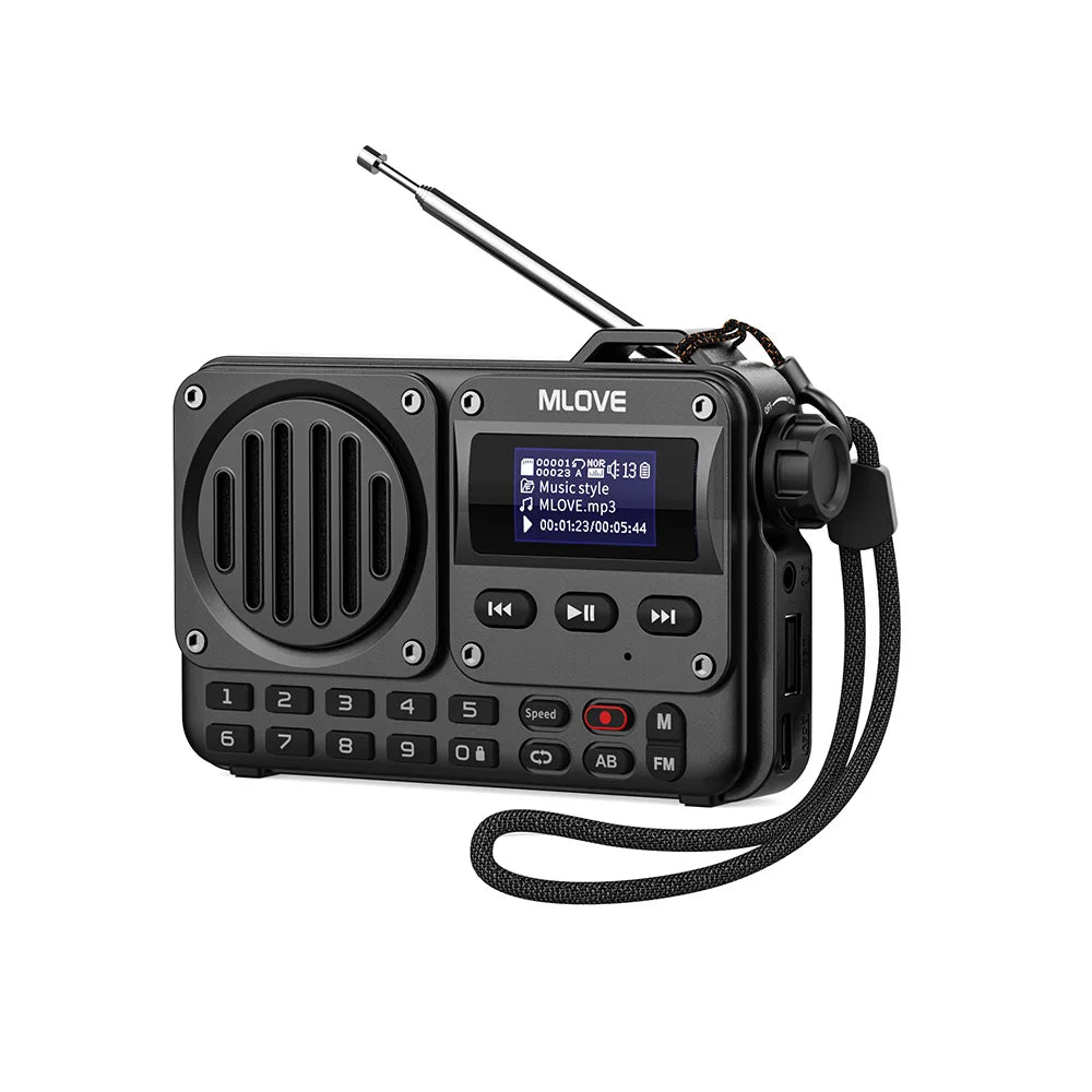 Portable Bluetooth Speaker with FM Radio, LCD Display, AUX, USB & MicroSD Playback — 8W, 20‑Hour Battery