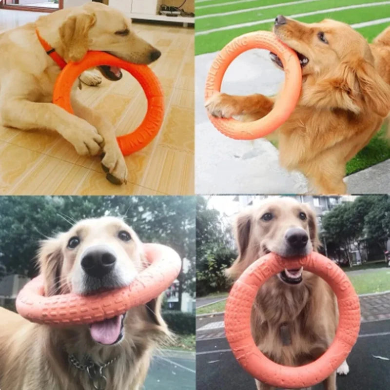 Orange Dog Flying Disc & Training Puller — Durable EVA Chew-Resistant Interactive Toy for Puppies to Large Dogs