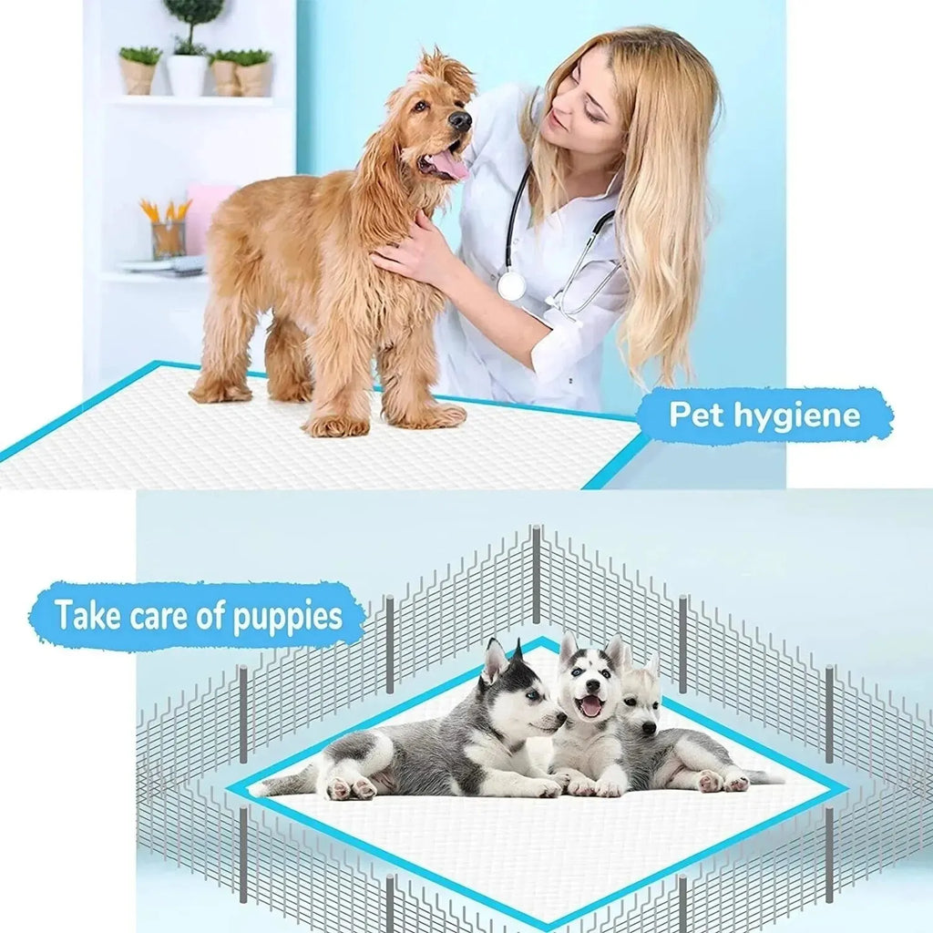 Super Absorbent Disposable Pet Pee Pads – Thick Quick-Dry Dog & Cat Diapers with Deodorizing Layer