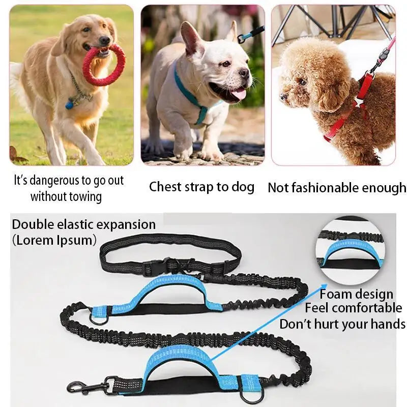 Double Elastic Reflective Hands-Free Running Dog Leash — Retractable Bungee Waist Lead 160–260 cm (63–102 in), Waist 70–120 cm (27–47 in)