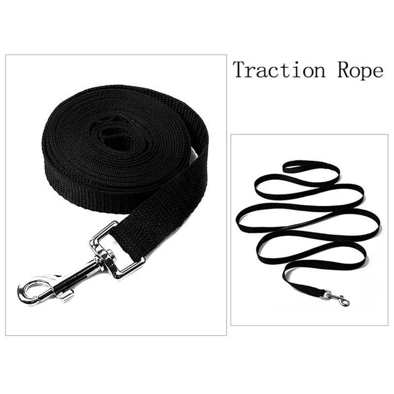 Long Strong Nylon Dog Leash - Training & Walking Lead, 10m/15m/20m (33/49/66 ft) for Small to Large Dogs & Puppies