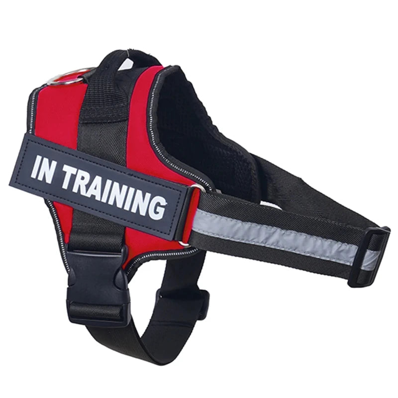Personalized Reflective No-Pull Dog Harness Vest - Adjustable Nylon Pet Harness with Handle & Leash Attachment - Small/Medium/Large