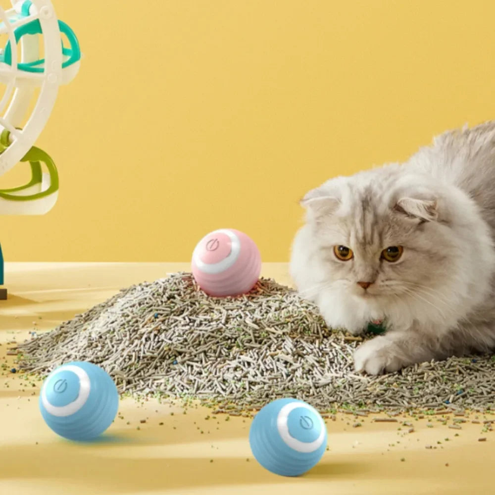 Rechargeable Self-Moving Rolling Ball Cat Toy — Interactive Indoor Toy for Kittens & Cats
