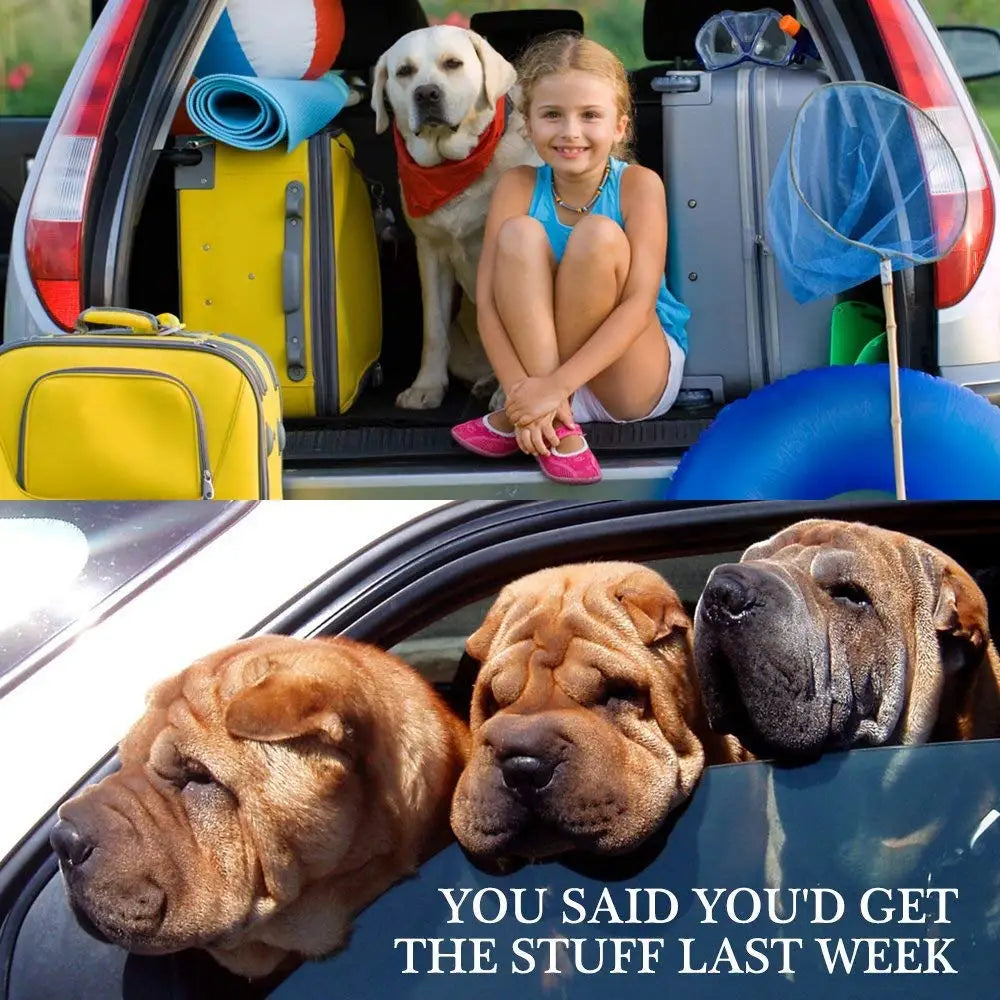 Adjustable Pet Car Seat Belt Harness for Dogs & Cats – Breakaway Travel Leash Restraint