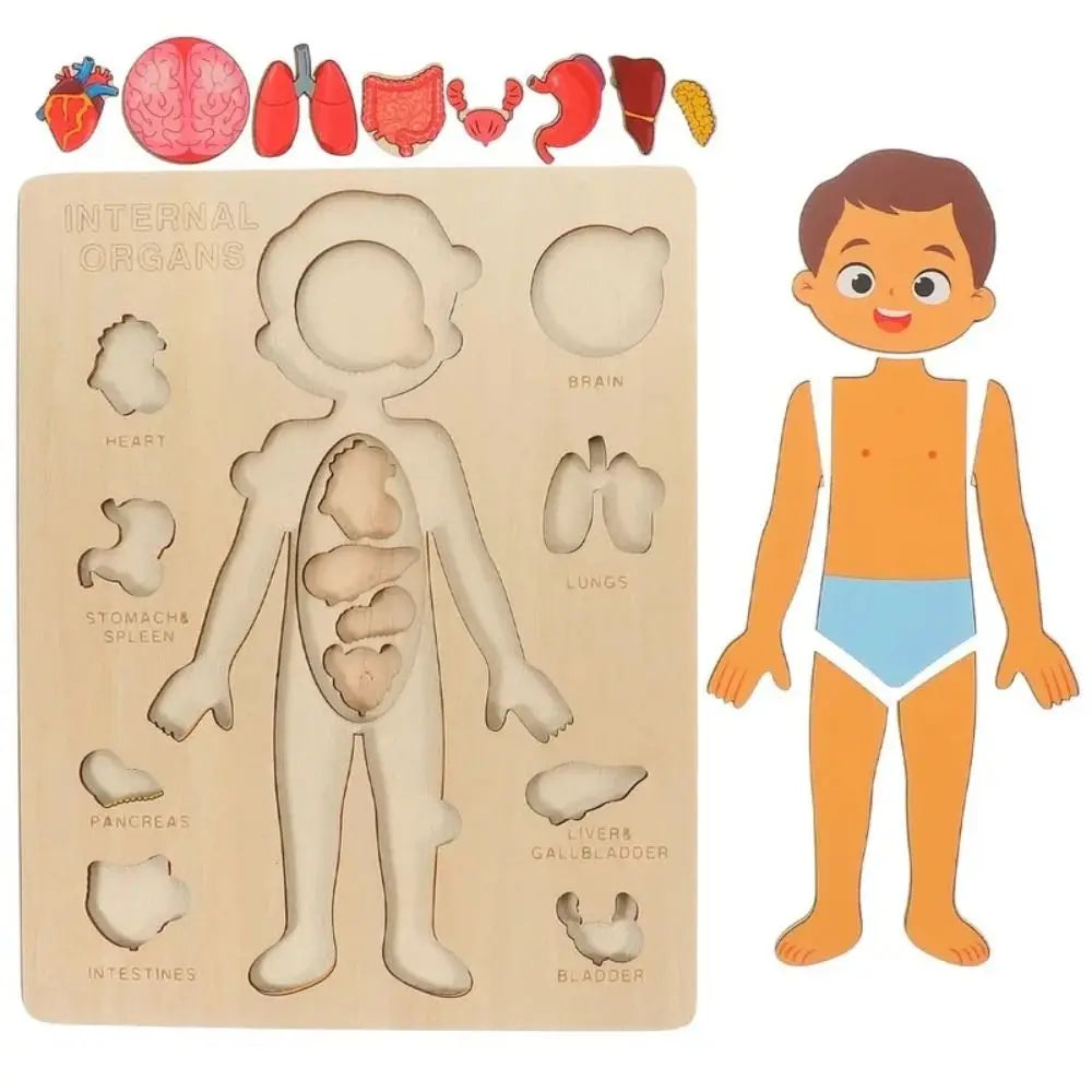 Montessori Wooden Human Body Puzzle Learning Board – Educational Anatomy Toy for Preschoolers & Kids (22.8 x 18 cm / 8.98 x 7.09 in)
