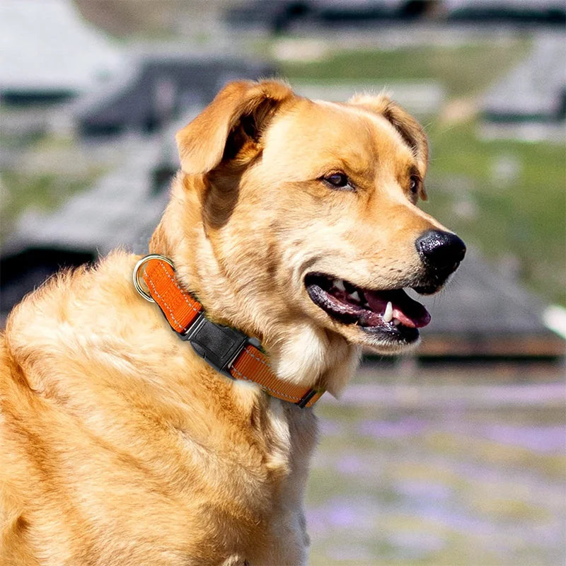 Reflective Adjustable Nylon Dog & Cat Collar — Padded Anti-Choke, Anti-Slip with Quick-Release Buckle (L: 40–60 cm / 15.7–23.6 in; XL: 45–70 cm / 17.7–27.6 in)