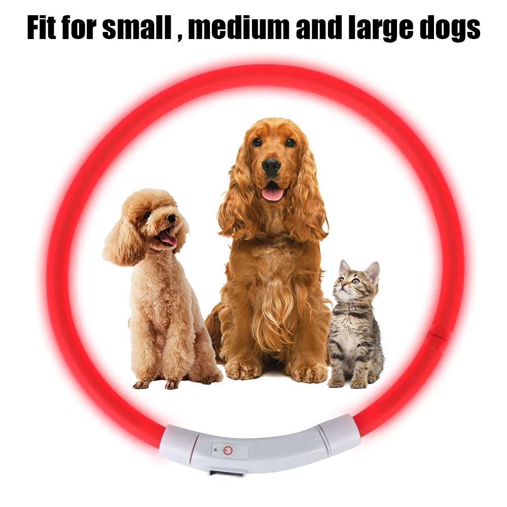 LED USB Rechargeable Dog Collar – Luminous Flashing Night Safety Collar, Waterproof & Adjustable