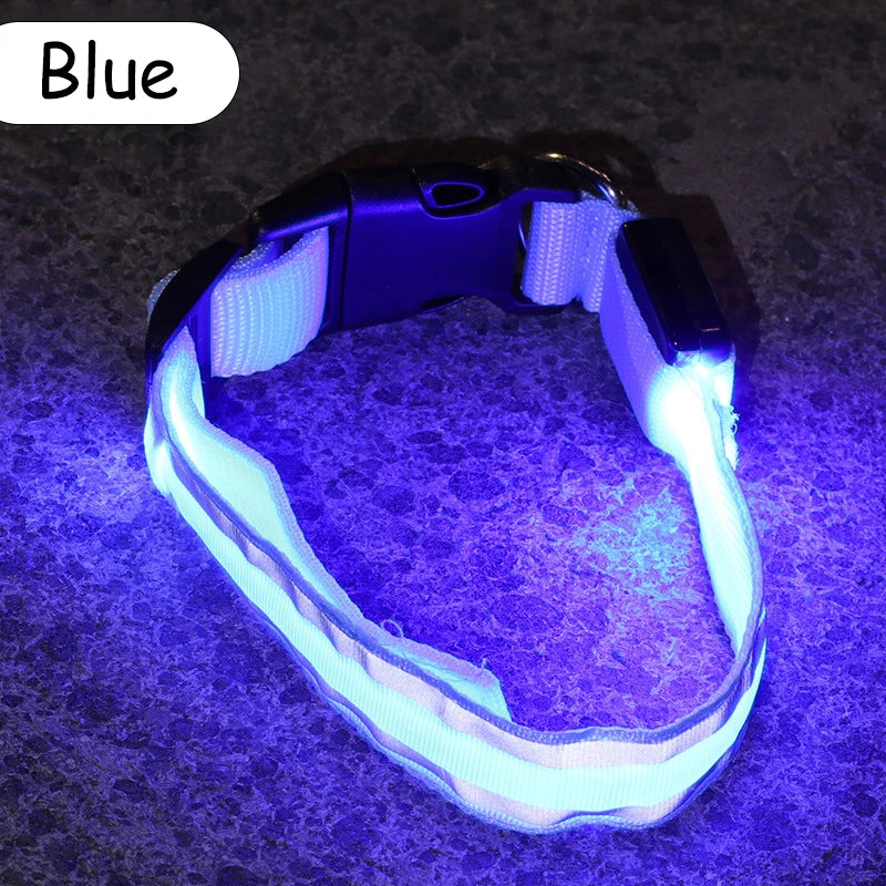 LED Luminous Nylon Dog Collar – Glow Reflective Safety Collar for Night Walks (XS-XL)