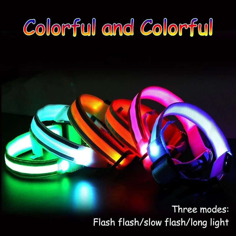 LED Luminous Nylon Dog Collar – Glow Reflective Safety Collar for Night Walks (XS-XL)
