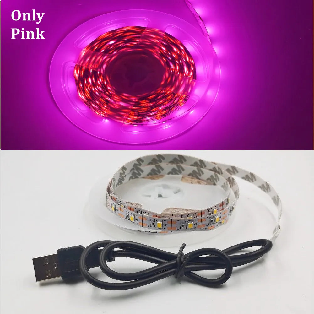 5V USB LED Strip Light 5m (16.4ft) & 1m (3.3ft) SMD3528 — Waterproof Flexible Color Strip Warm/Cool White + RGB for Cabinet, Ceiling & TV Backlight