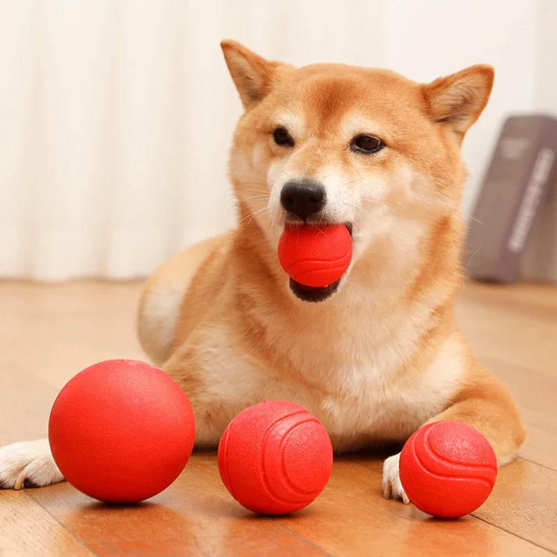 Indestructible TPR Dog Molar Ball – Bite-Resistant Interactive Training Toy, Sizes S–XL (1.8–2.8 in / 4.5–7 cm)