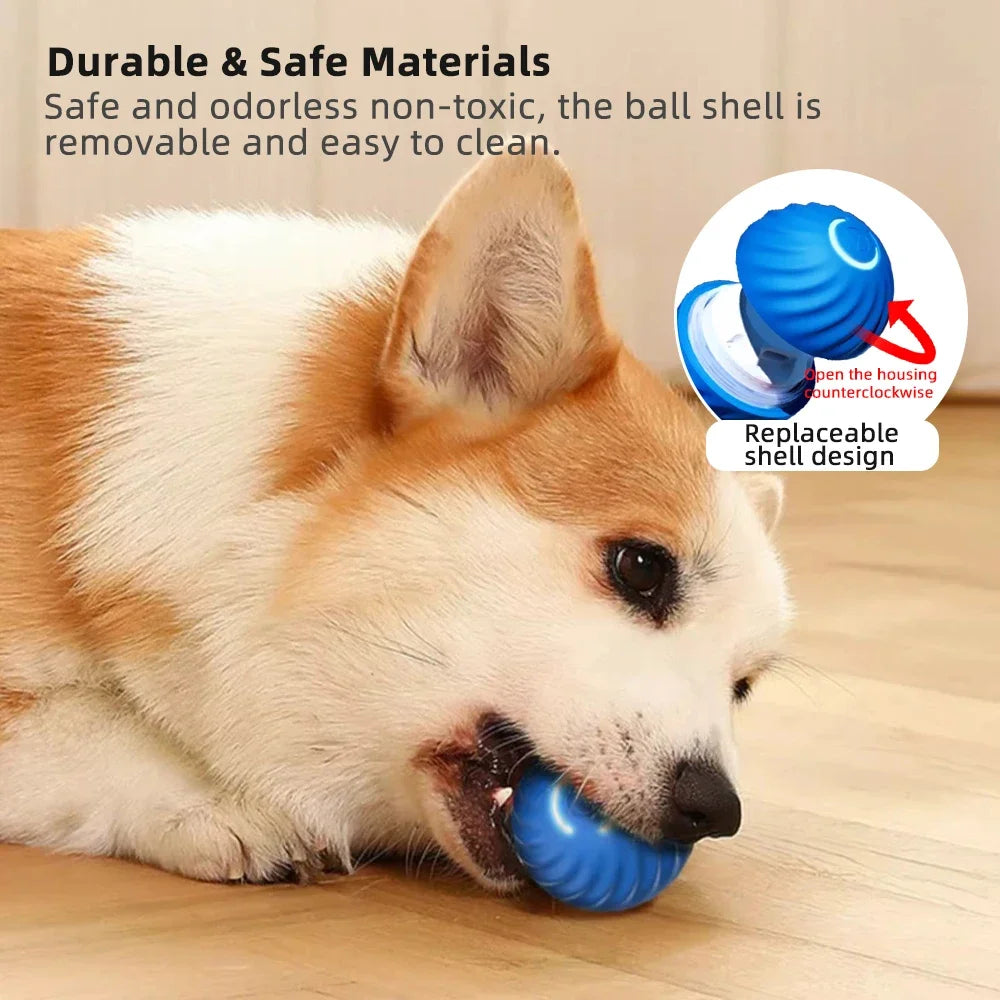 Interactive Smart Pet Toy Ball - Automatic Jumping & Rolling with Gravity Sensor, Rechargeable for Cats & Small/Medium Dogs