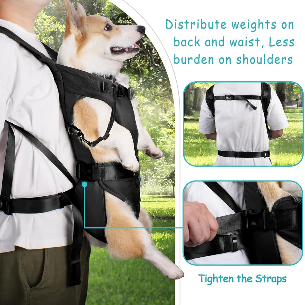 Adjustable Hands-Free Front Pet Carrier Backpack – Breathable Dog & Cat Travel Carrier (Up to 35 lbs / 16 kg)
