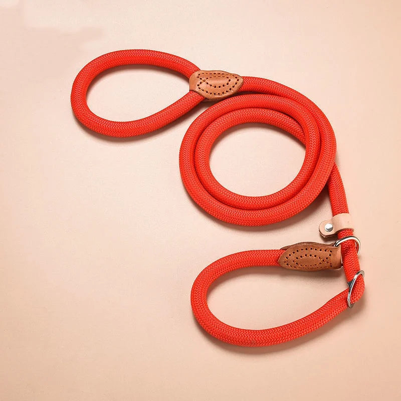 Personalized Nylon Dog Leash with Quick-Release Clip, Adjustable Loop Collar for Small to Medium Dogs