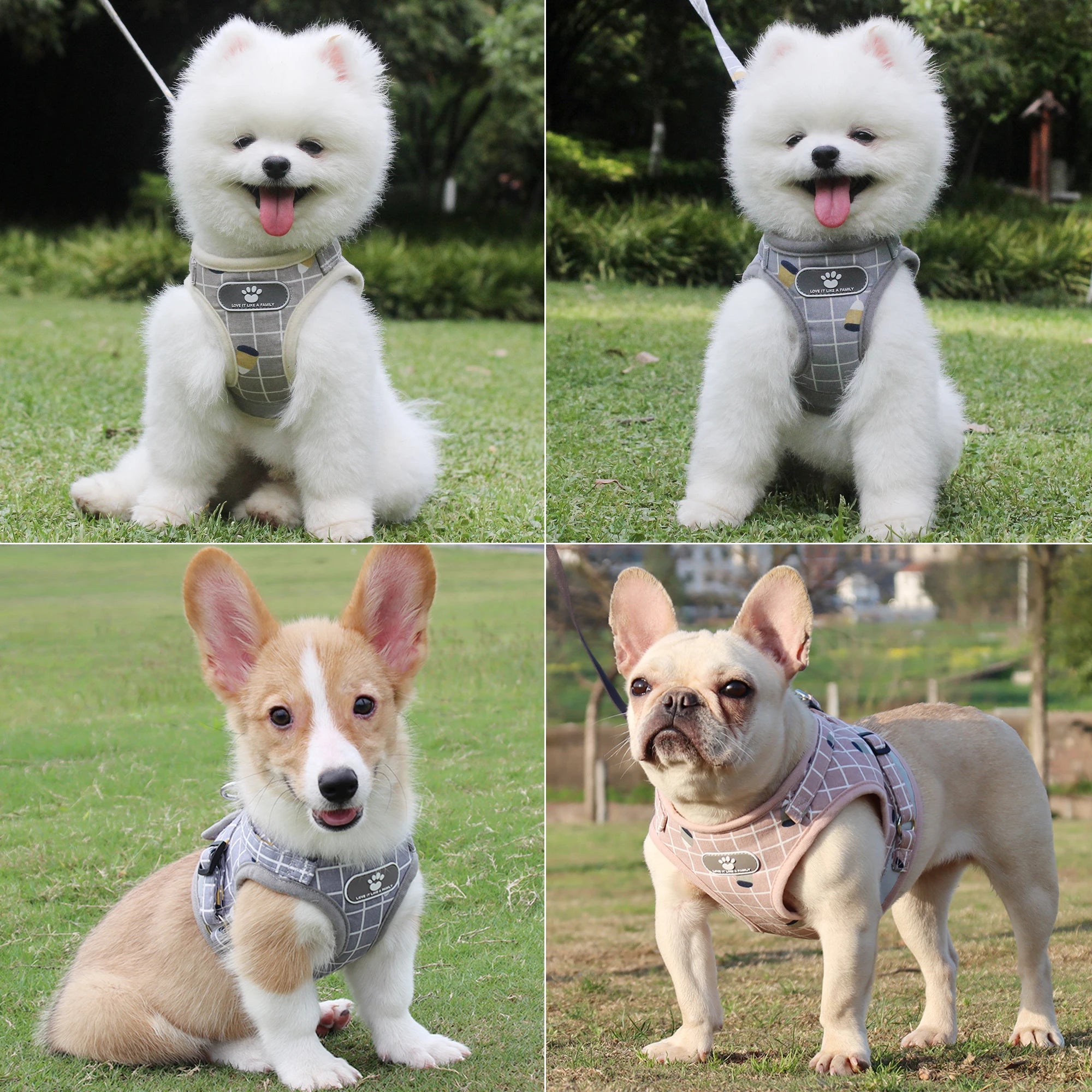 Adjustable Breathable Pet Harness with Reflective Leash for Puppies, Small Dogs & Cats
