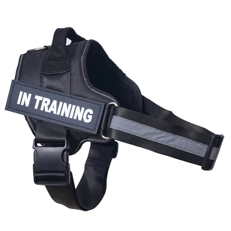 Personalized Reflective No-Pull Dog Harness Vest - Adjustable Nylon Pet Harness with Handle & Leash Attachment - Small/Medium/Large