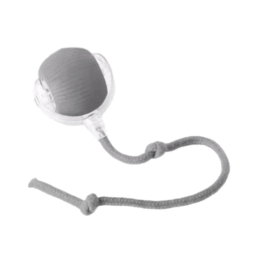 Rechargeable Interactive Cat Ball with Fake Tail, Automatic Rolling, Lights and Sound