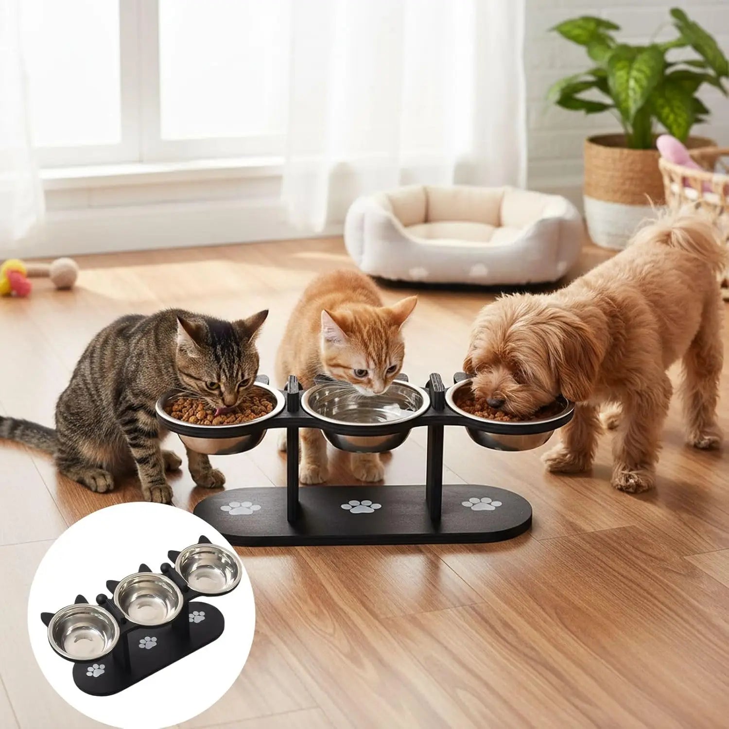 Elevated Stainless Steel Cat Bowl with Black Wooden Stand — 15° Tilted Pet Feeder