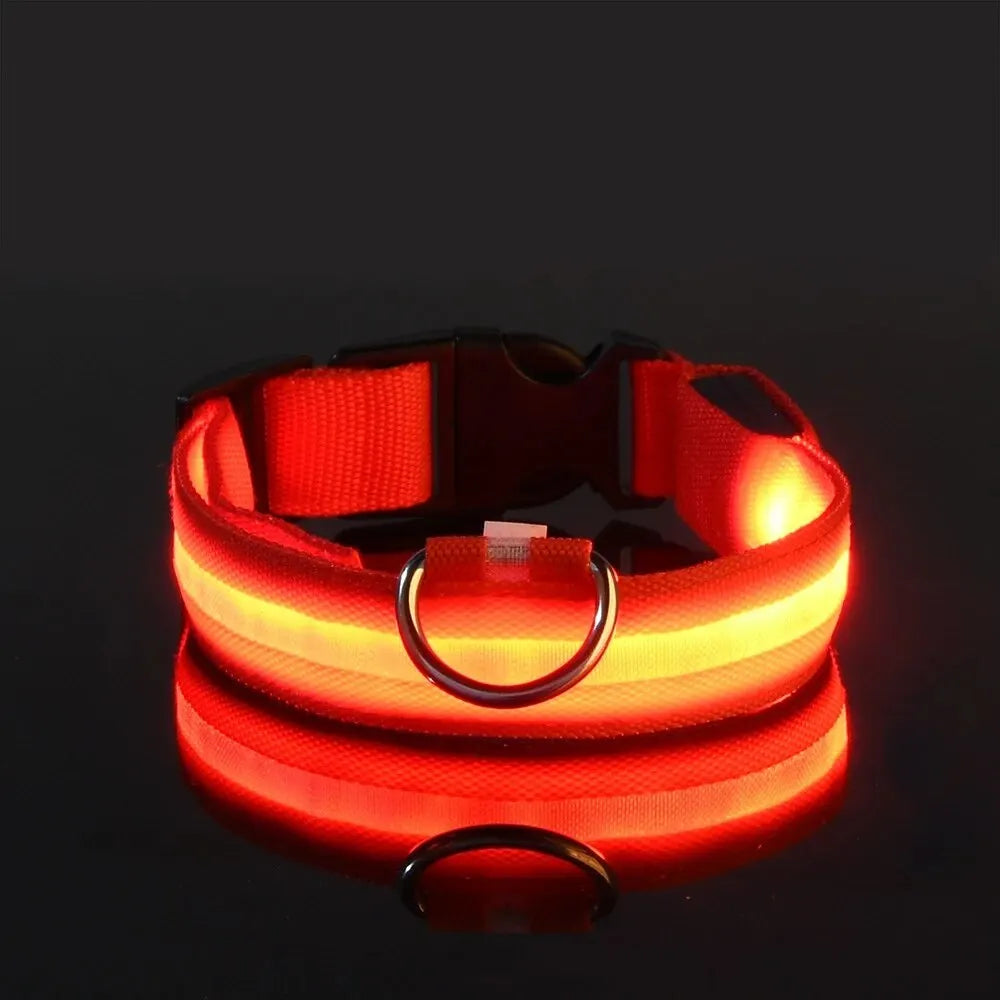 LED Glow Nylon Dog Collar & Leash - Luminous Flashing Night Safety for Dogs