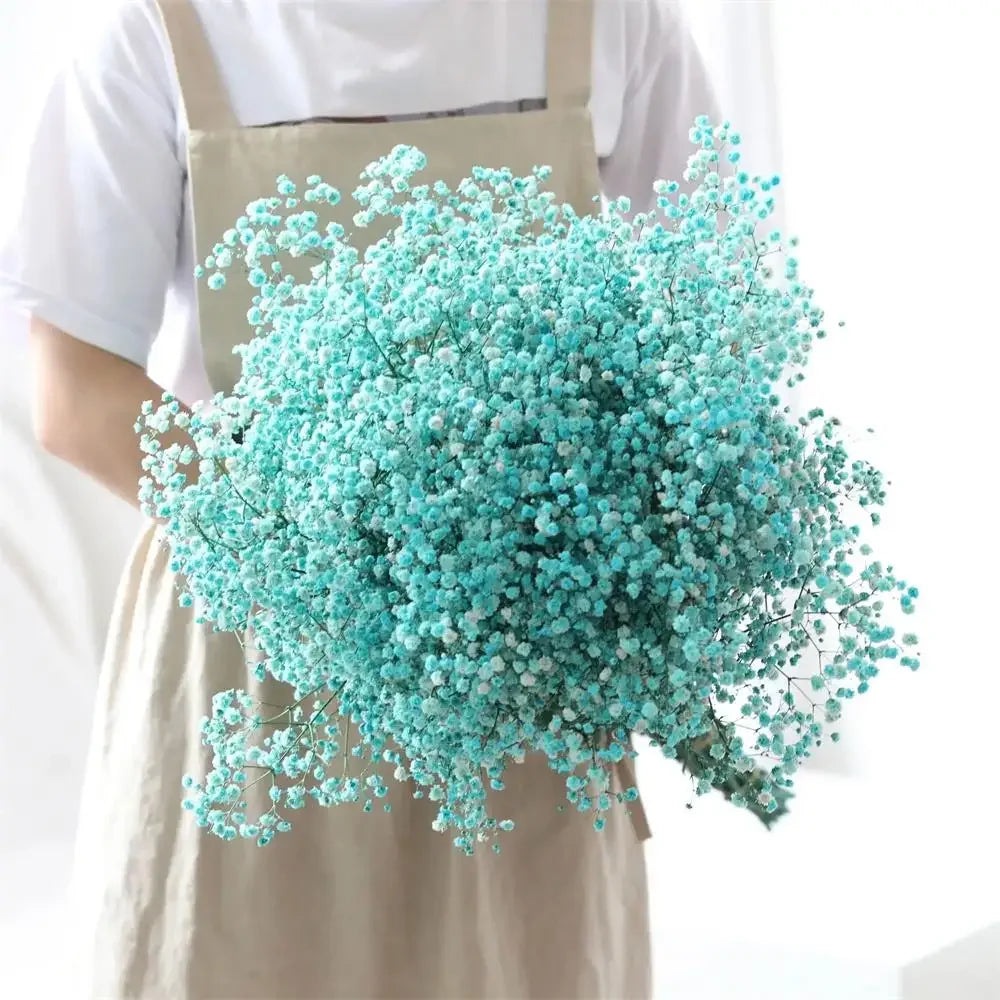 100g (3.5 oz) Dried Baby's Breath Gypsophila Bouquet - Preserved Boho Floral Home & Wedding Decor