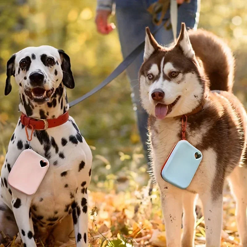 Portable Food-Grade Silicone Dog Treat Pouch — 1.5 Cup (360 ml) Leakproof Hands-Free Training Bag with Belt Clip & Carabiner