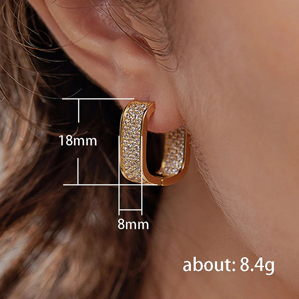 Paved CZ Hoop Earrings for Women - Gold & Silver Cubic Zirconia Hoops