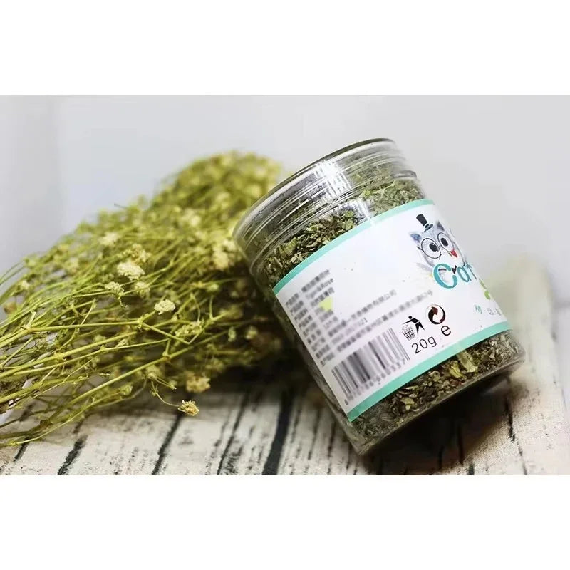 Organic Catnip Powder & Mint Blend for Cats – 100% Natural Catnip Interactive Cat Toy Supplement for Dental Health and Stress Relief