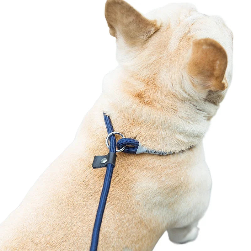 Personalized Nylon Dog Leash with Quick-Release Clip, Adjustable Loop Collar for Small to Medium Dogs