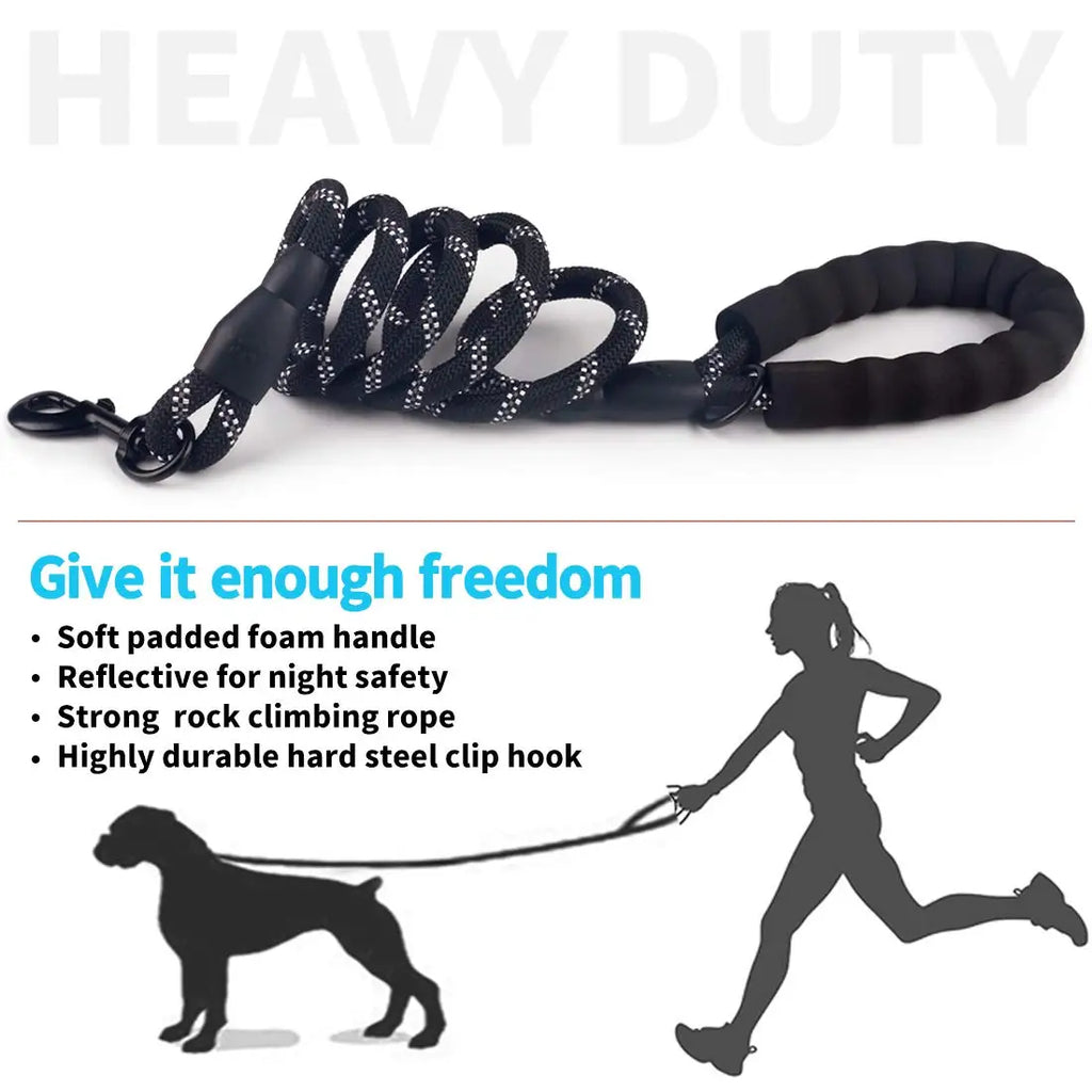 Reflective Nylon Dog Leash with Soft Handle — Reinforced Leash for Small, Medium & Large Dogs — 4ft/5ft/6.6ft/9.8ft (120/150/200/300 cm)