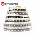 WS2815 12V Individually Addressable RGB LED Strip Light – Dual Signal, 30/60/100/144 LEDs/m, IP30/IP65/IP67