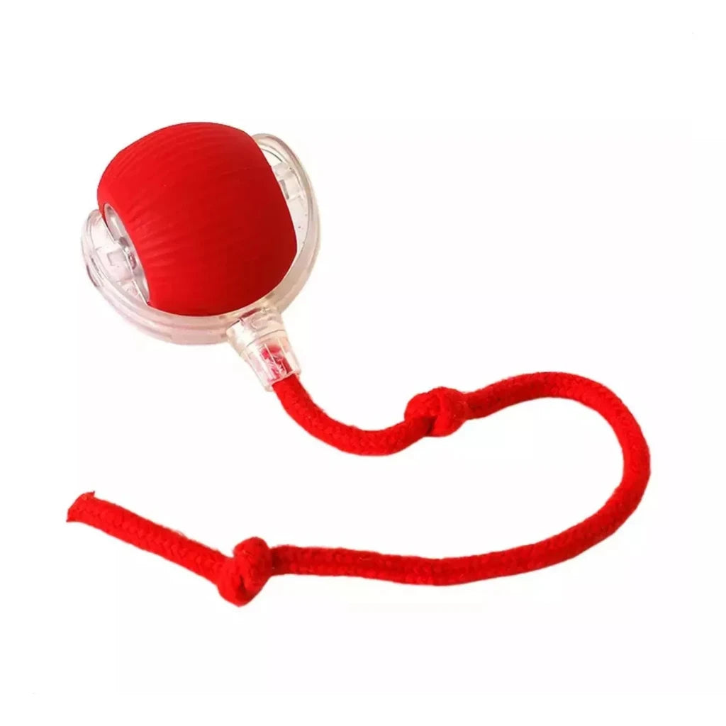 Interactive Automatic Cat Toy Ball with Motion Sensor — USB-C Rechargeable, Soft Silicone Shell