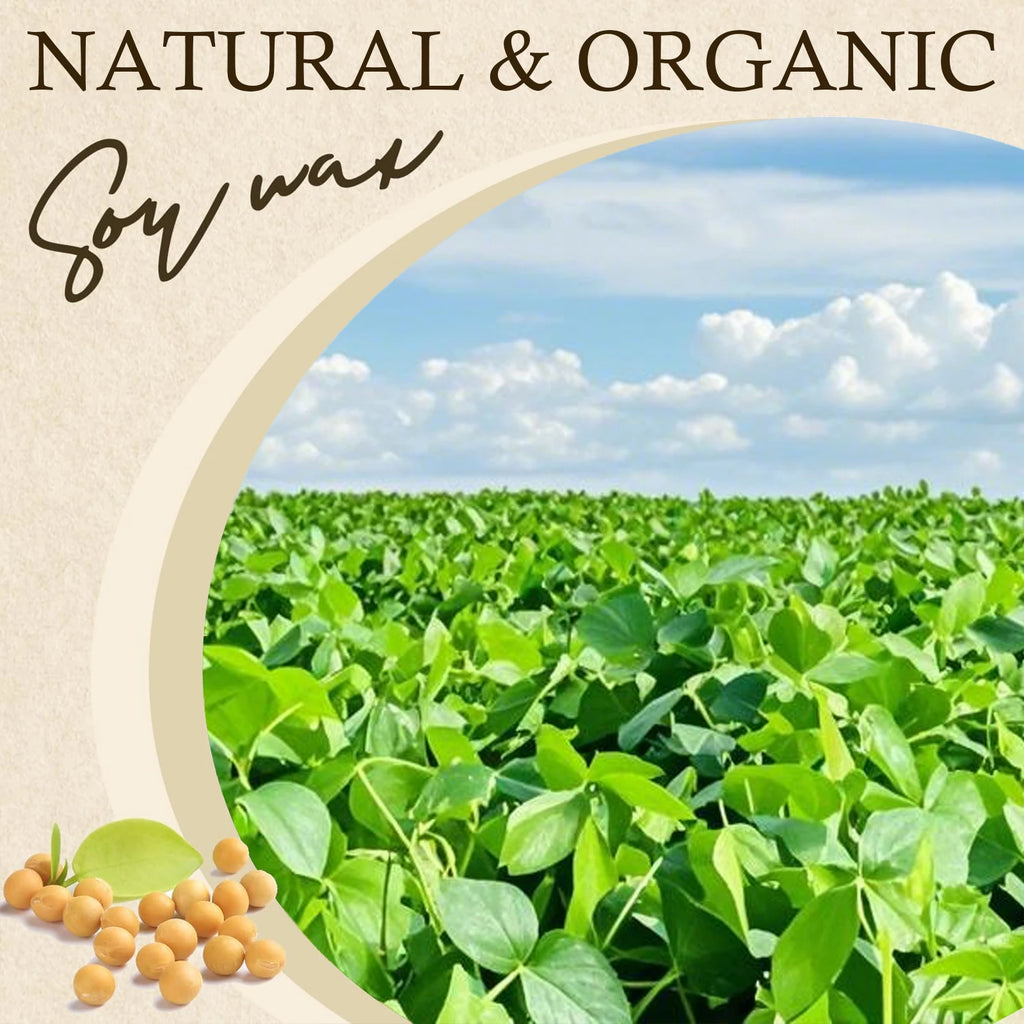 Natural Soy Wax Flakes for Candle Making — Additive-Free DIY Candle Supplies, 100g/200g/453g/1000g (3.5oz/7.1oz/16oz/35.3oz)