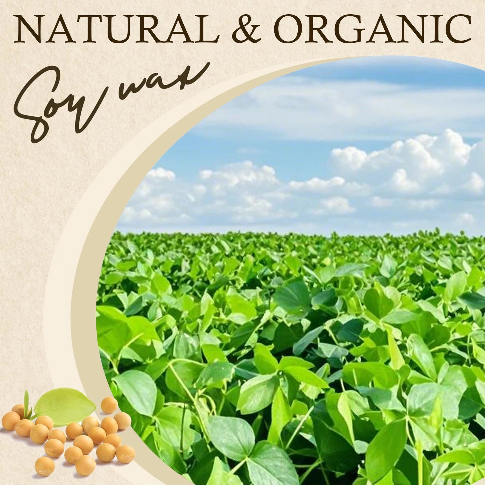 Natural Soy Wax Flakes for Candle Making — Additive-Free DIY Candle Supplies, 100g/200g/453g/1000g (3.5oz/7.1oz/16oz/35.3oz)
