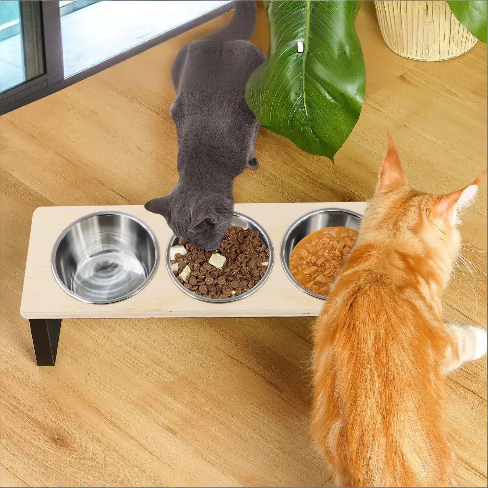 Elevated 15° Tilted Pet Feeder – 3 Stainless Steel Bowls (18 oz / 530 ml) Wooden Stand for Cats & Small Puppies