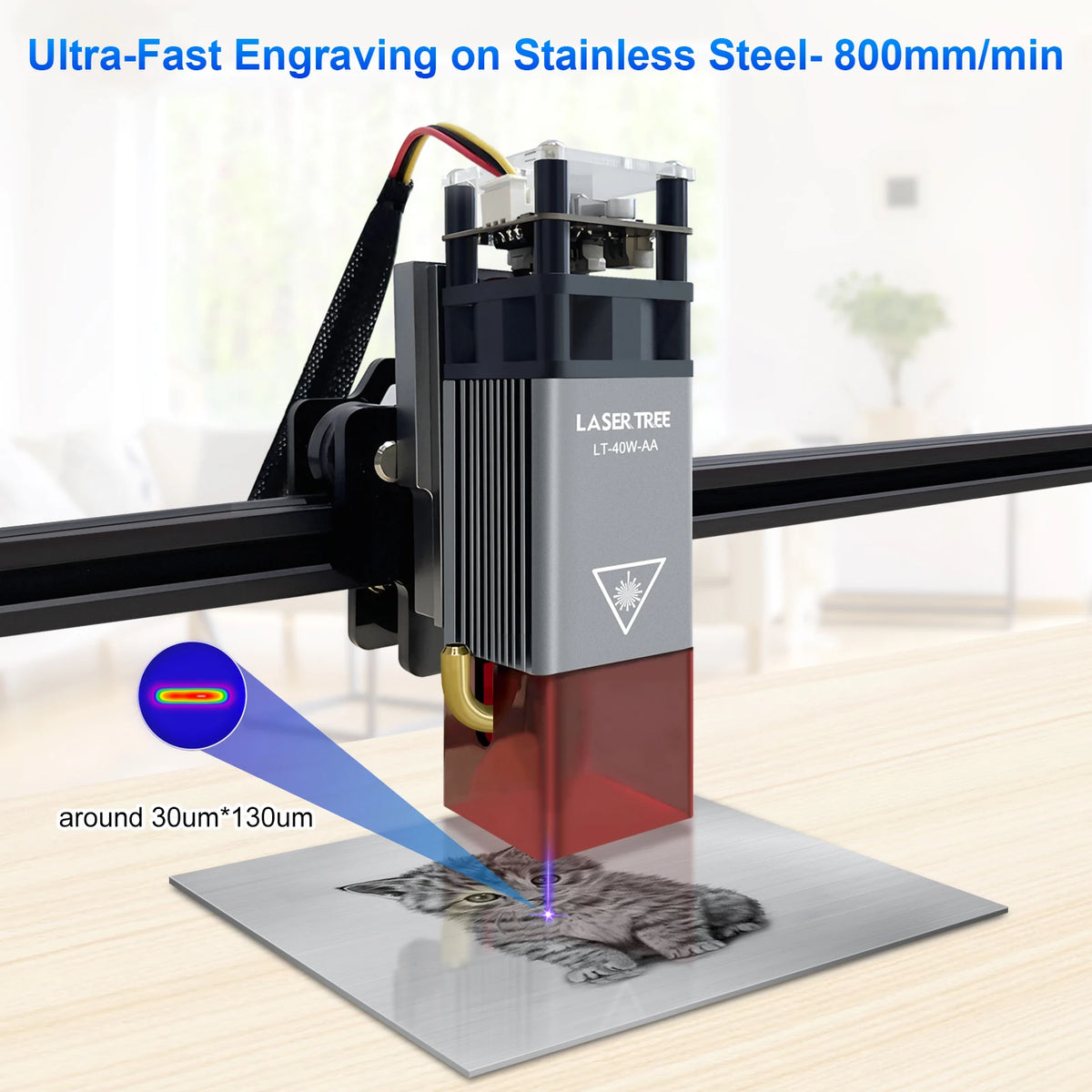 Air Assist TTL Laser Head Module 5W / 10W / 20W - Blue Light CNC Laser for Engraving & Wood Cutting