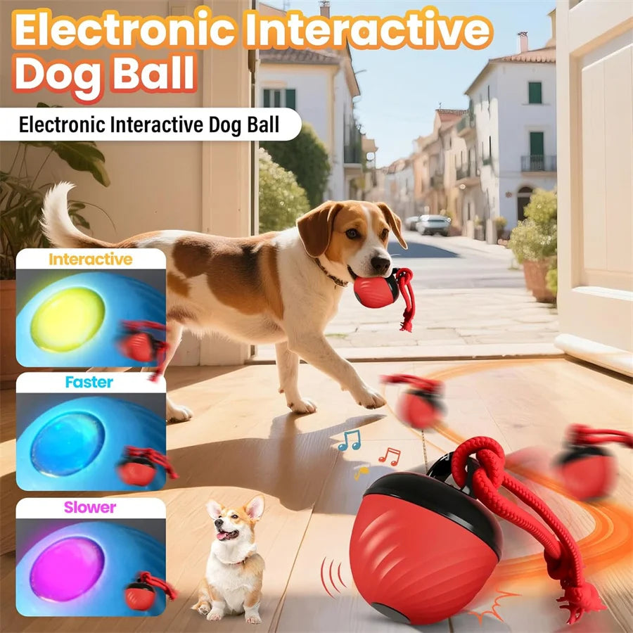 USB Rechargeable Interactive Bouncing Pet Ball view 2