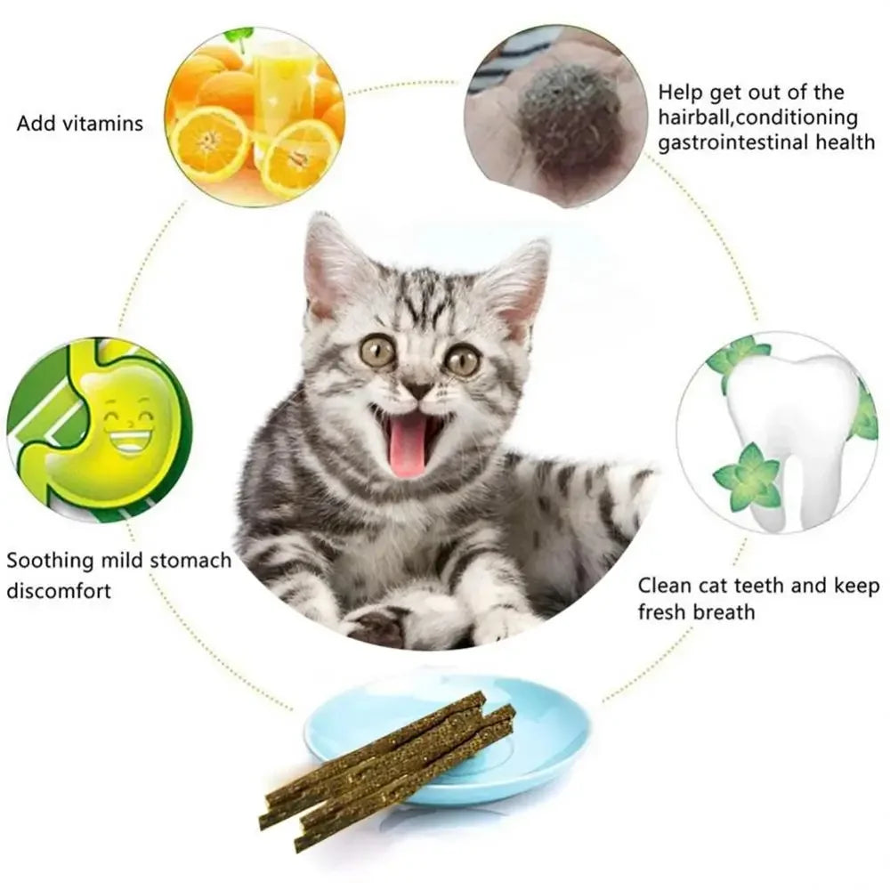 6-Pack Natural Silvervine (Matatabi) Cat Chew Sticks – Catnip Treats for Dental Health, Anxiety Relief & Play