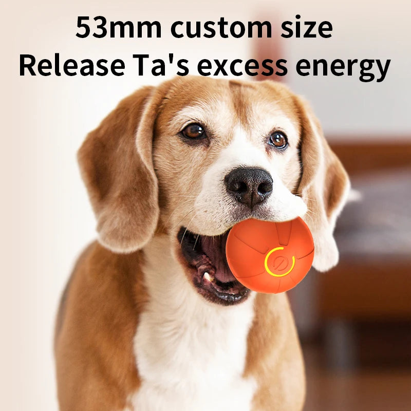 Automatic Interactive Dog Toy Ball USB Rechargeable Rolling Bouncing Chew Toy for Puppies to Large Dogs — Sizes 5.2 cm / 6.7 cm (2.05 in / 2.64 in)
