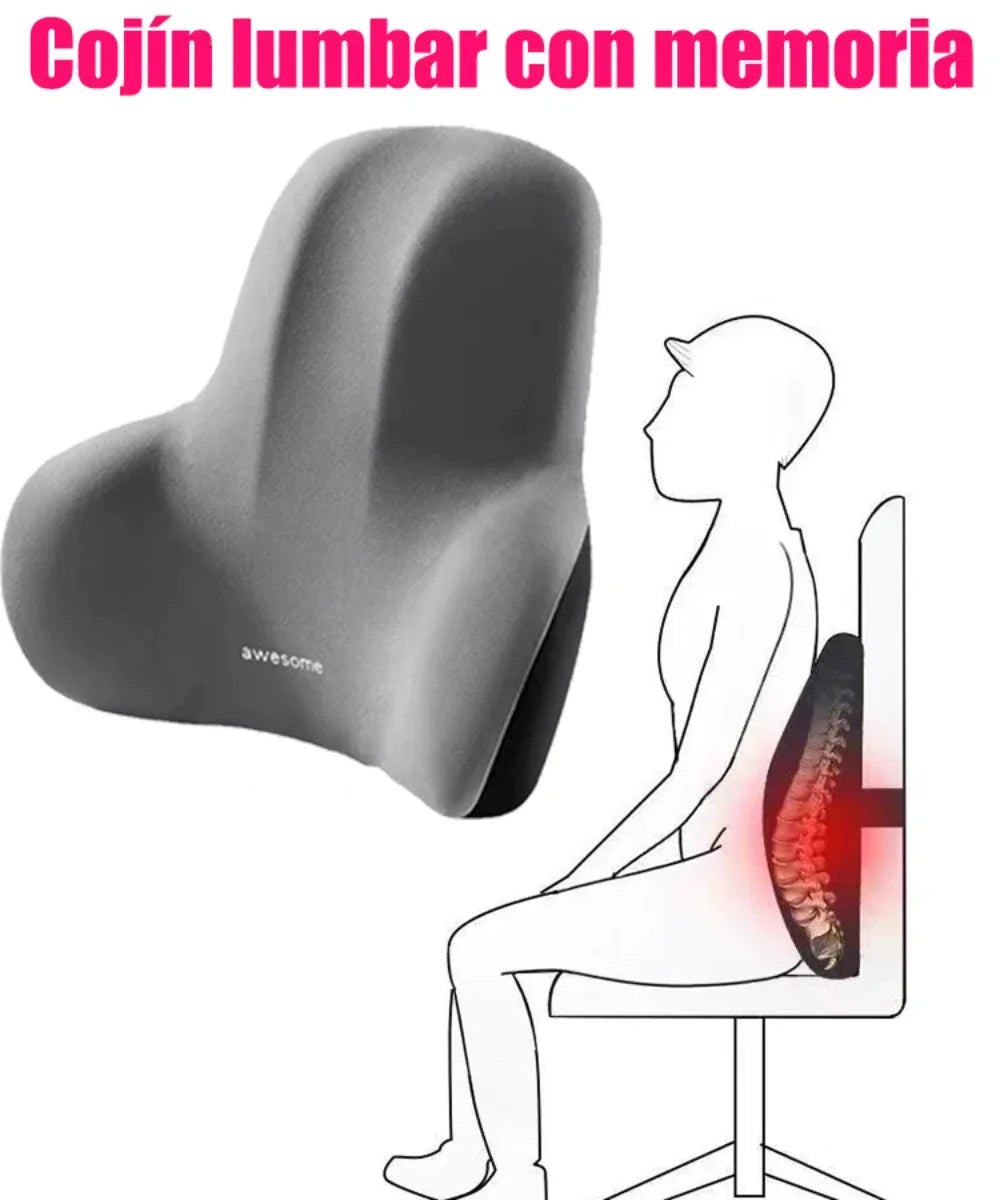 Memory Foam Lumbar Support Cushion for Car, Office & Gaming Chairs | Postpartum Waist Pain Relief Pillow