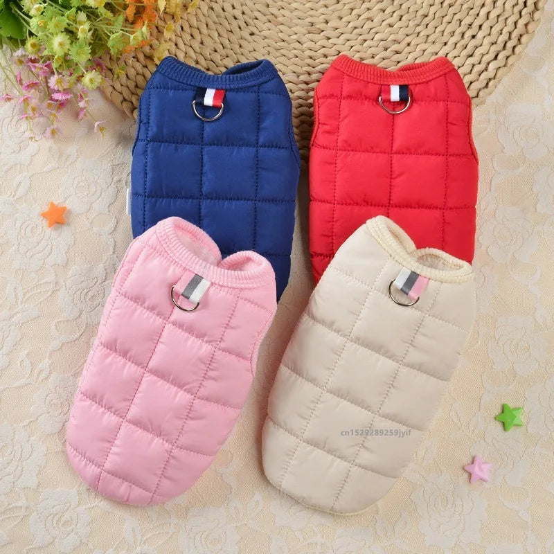 Winter Padded Windproof Dog Coat for Small Dogs - Chihuahua & Puppy Jacket