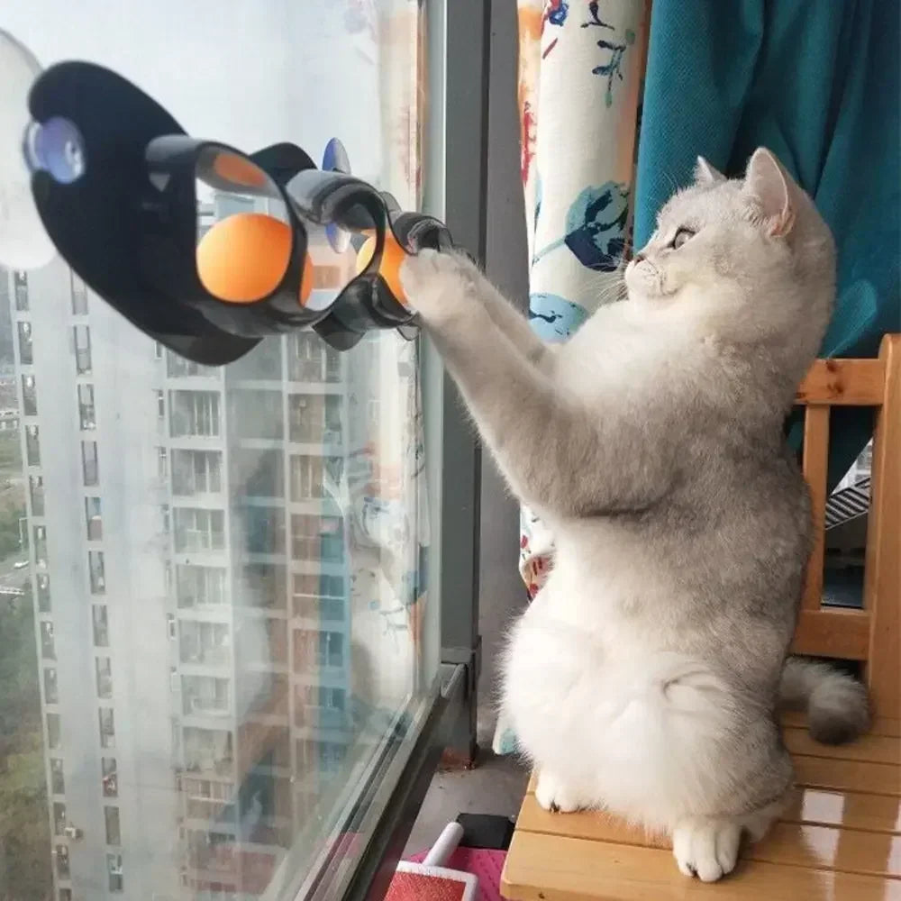 Window-Mounted Interactive Cat Track Toy with Suction Cups for Cats & Kittens