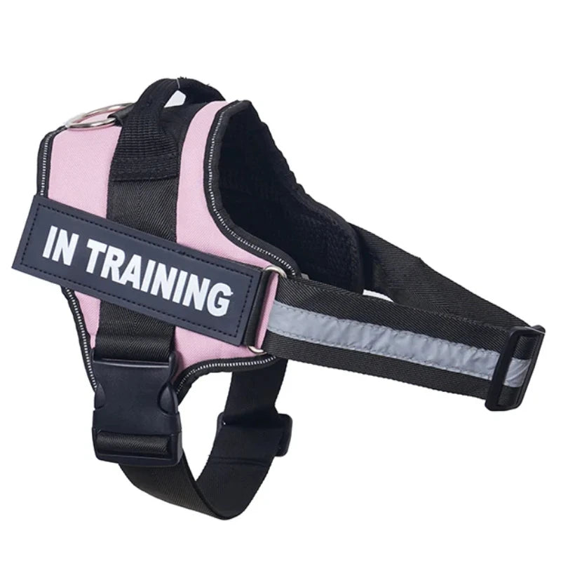 Personalized Reflective No-Pull Dog Harness Vest - Adjustable Nylon Pet Harness with Handle & Leash Attachment - Small/Medium/Large