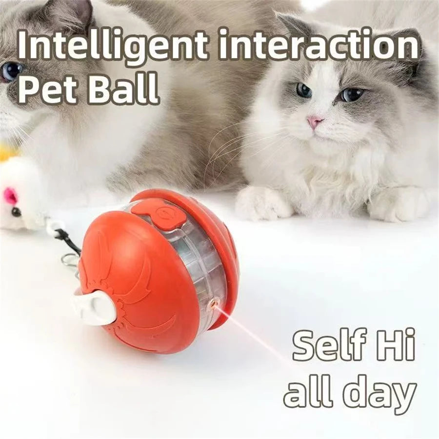 USB Rechargeable Interactive Bouncing Pet Ball view 6
