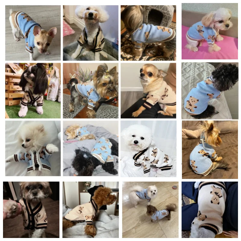 Striped Cotton Cardigan Sweater for Small Dogs & Cats – Warm Pet Coat for Chihuahua, Puppy, Kitten (XS-XL)
