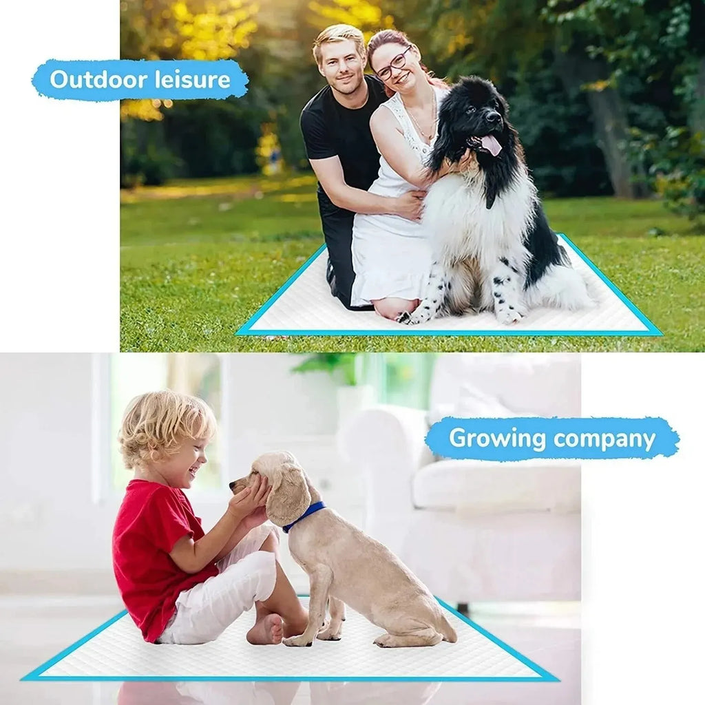 Super Absorbent Disposable Pet Pee Pads – Thick Quick-Dry Dog & Cat Diapers with Deodorizing Layer