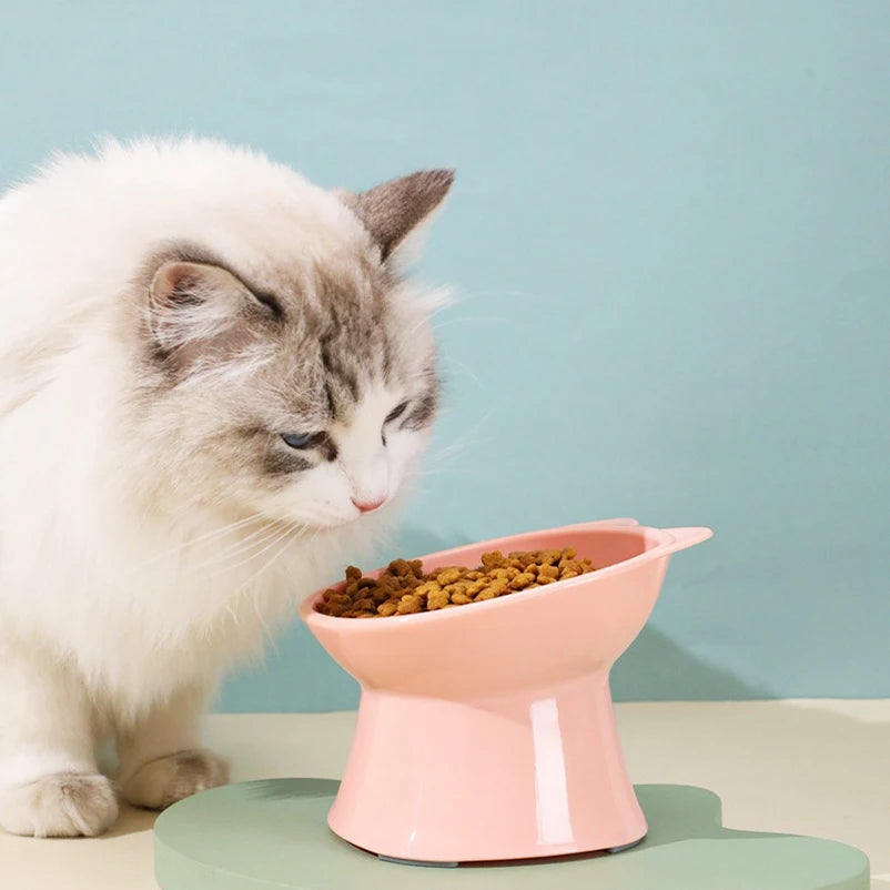 Anti-Tip Elevated Cat Bowl - Nordic Square Double-Handle Raised Pet Feeding & Water Bowl