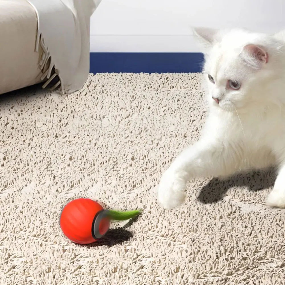 USB Rechargeable Interactive Cat Toy Ball – Automatic Moving Ball with Replaceable Tail, Dual-Speed for Indoor Cats